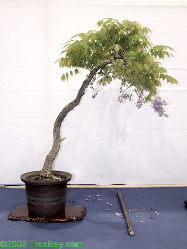2002Betsuin 081_adj.jpg